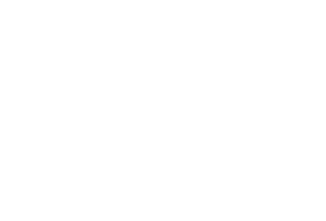 Fluc28